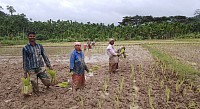 Hardworking farmer's in Andaman and Nicobar Islands